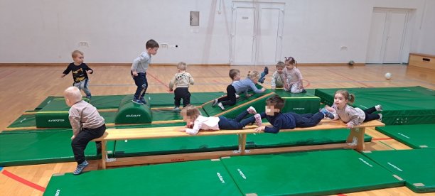 ZDRAVI IN FIT